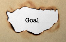 Goal concept